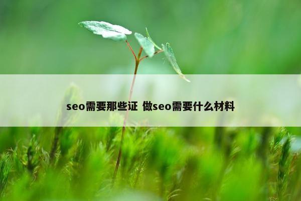 seo需要那些证 做seo需要什么材料