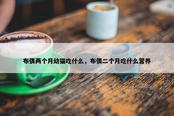 布偶两个月幼猫吃什么，布偶二个月吃什么营养