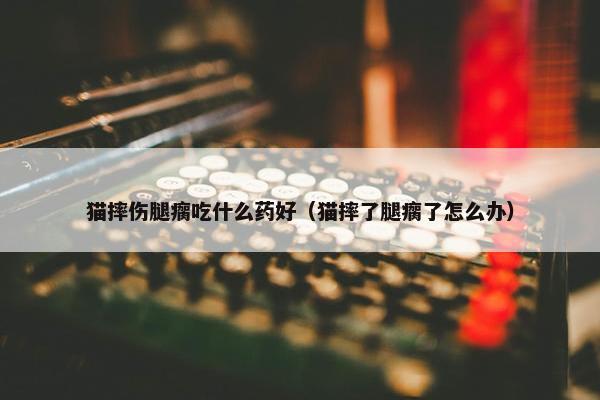 猫摔伤腿瘸吃什么药好（猫摔了腿瘸了怎么办）