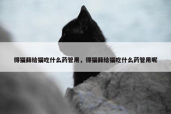 得猫藓给猫吃什么药管用，得猫藓给猫吃什么药管用呢