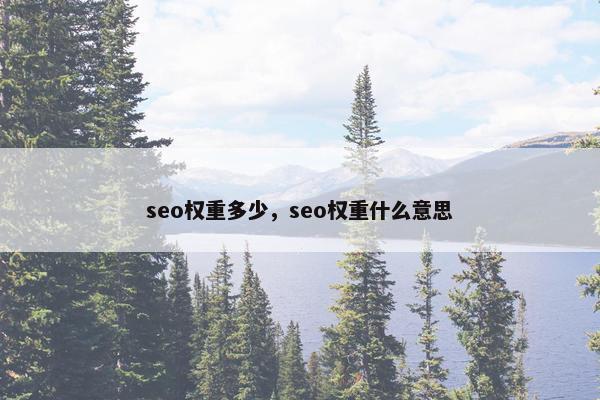 seo权重多少，seo权重什么意思