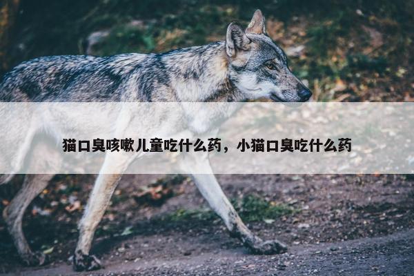 猫口臭咳嗽儿童吃什么药，小猫口臭吃什么药