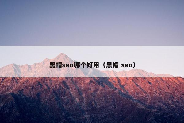 黑帽seo哪个好用（黑帽 seo）