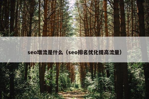 seo增流是什么（seo排名优化提高流量）