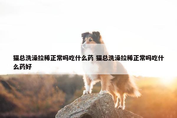 猫总洗澡拉稀正常吗吃什么药 猫总洗澡拉稀正常吗吃什么药好