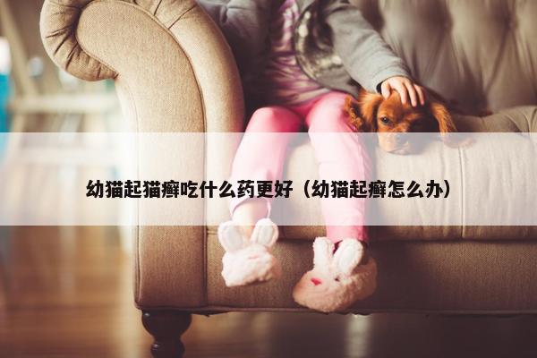 幼猫起猫癣吃什么药更好（幼猫起癣怎么办）