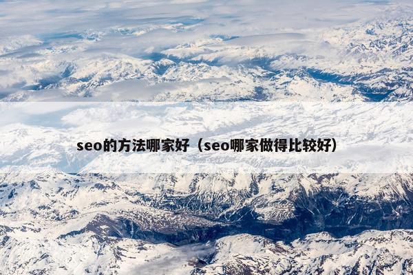 seo的方法哪家好（seo哪家做得比较好）