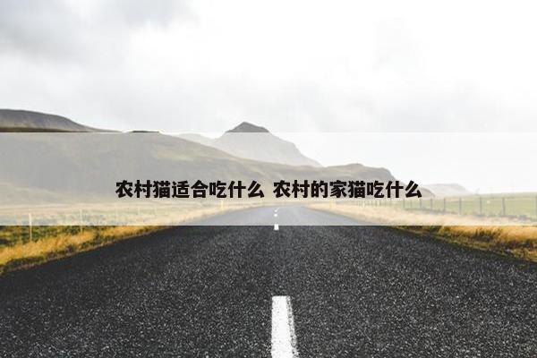 农村猫适合吃什么 农村的家猫吃什么