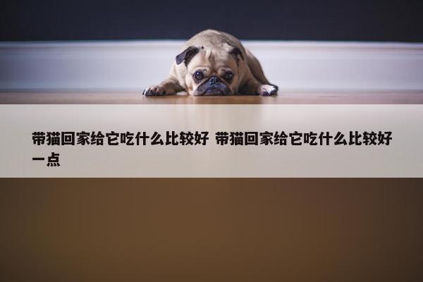 带猫回家给它吃什么比较好 带猫回家给它吃什么比较好一点