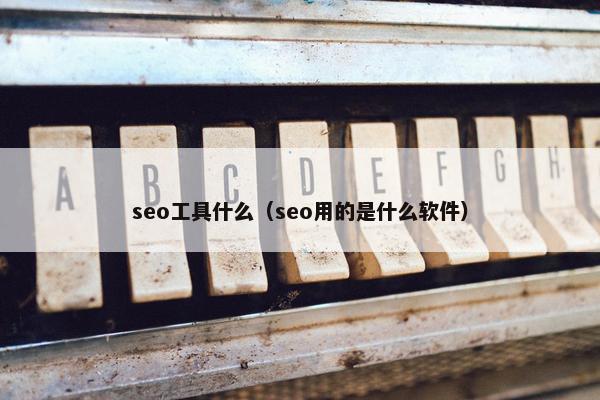 seo工具什么（seo用的是什么软件）