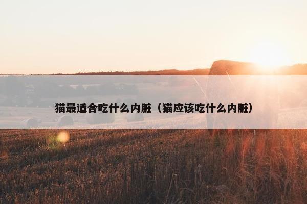 猫最适合吃什么内脏（猫应该吃什么内脏）