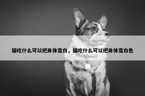 猫吃什么可以把身体变白，猫吃什么可以把身体变白色