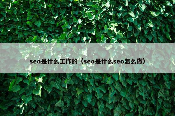 seo是什么工作的（seo是什么seo怎么做）