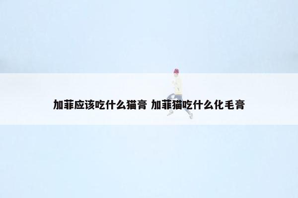 加菲应该吃什么猫膏 加菲猫吃什么化毛膏