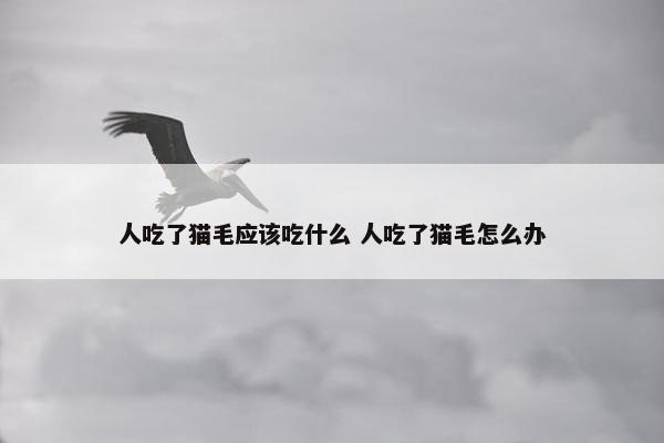 人吃了猫毛应该吃什么 人吃了猫毛怎么办