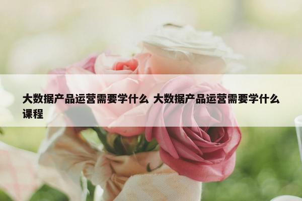 大数据产品运营需要学什么 大数据产品运营需要学什么课程