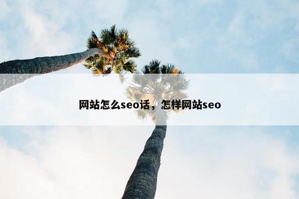 网站怎么seo话，怎样网站seo