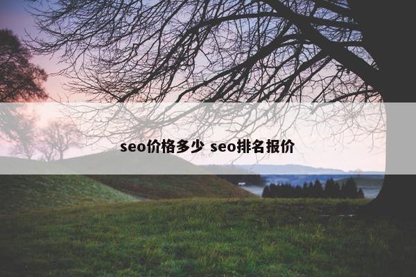 seo价格多少 seo排名报价