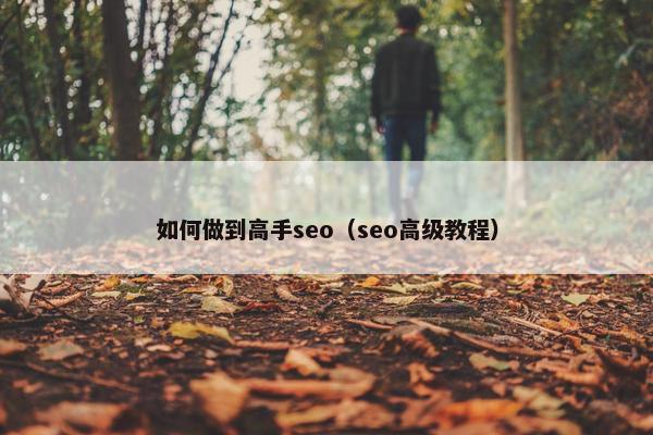 如何做到高手seo（seo高级教程）