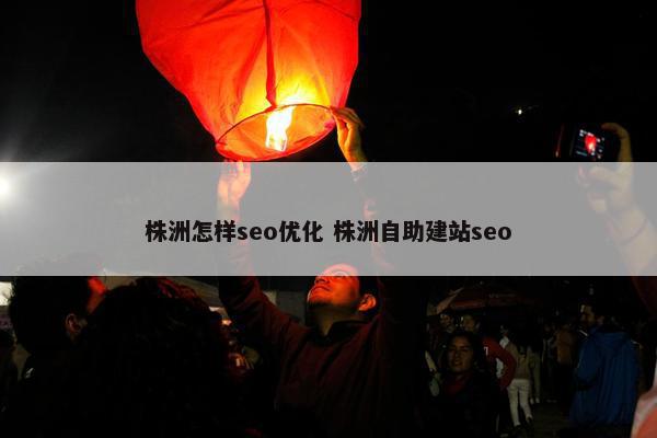 株洲怎样seo优化 株洲自助建站seo