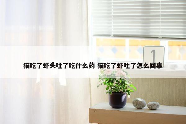 猫吃了虾头吐了吃什么药 猫吃了虾吐了怎么回事