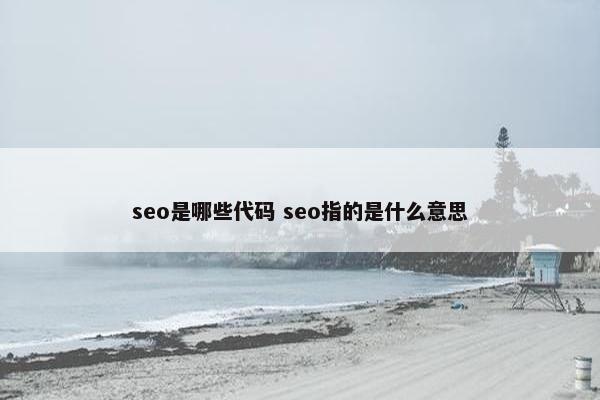 seo是哪些代码 seo指的是什么意思