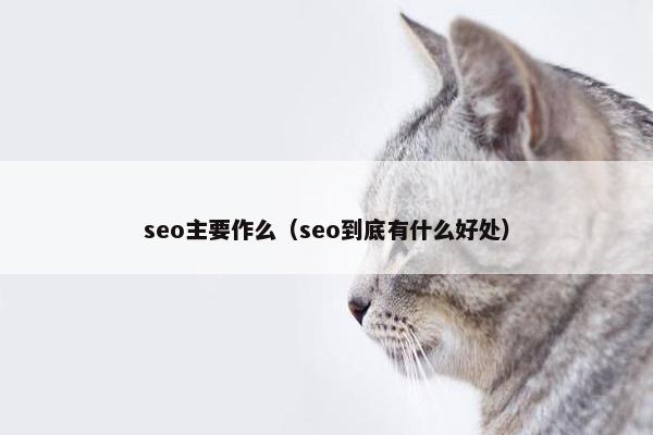 seo主要作么（seo到底有什么好处）