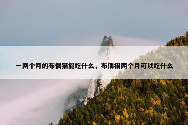 一两个月的布偶猫能吃什么，布偶猫两个月可以吃什么