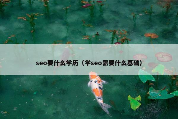 seo要什么学历（学seo需要什么基础）