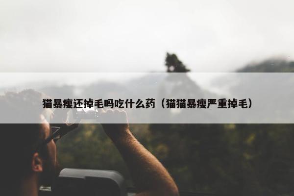 猫暴瘦还掉毛吗吃什么药（猫猫暴瘦严重掉毛）