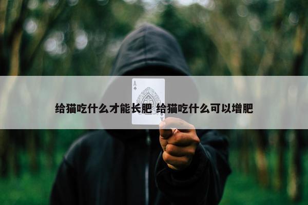 给猫吃什么才能长肥 给猫吃什么可以增肥