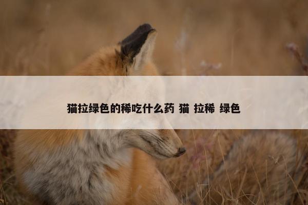 猫拉绿色的稀吃什么药 猫 拉稀 绿色