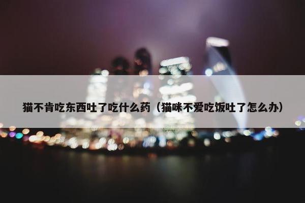 猫不肯吃东西吐了吃什么药（猫咪不爱吃饭吐了怎么办）