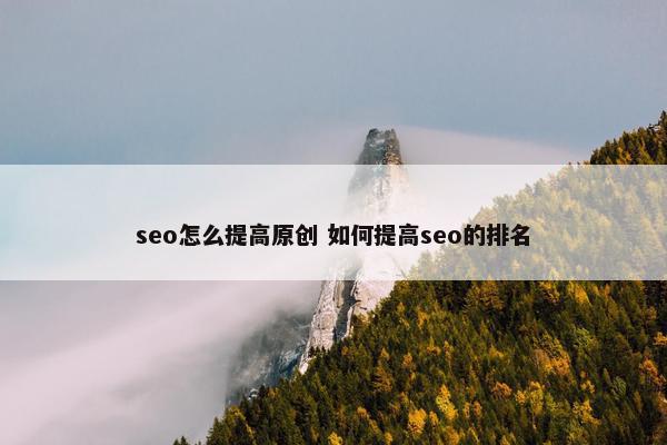 seo怎么提高原创 如何提高seo的排名