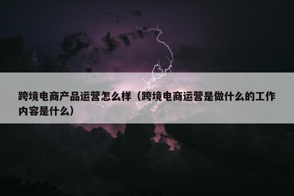 跨境电商产品运营怎么样（跨境电商运营是做什么的工作内容是什么）