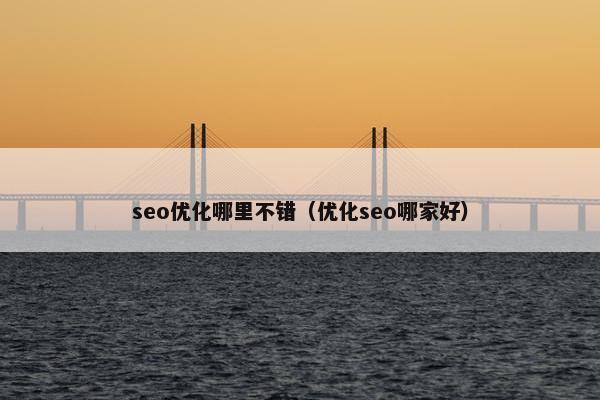 seo优化哪里不错（优化seo哪家好）