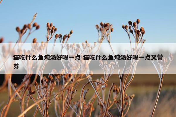 猫吃什么鱼炖汤好喝一点 猫吃什么鱼炖汤好喝一点又营养