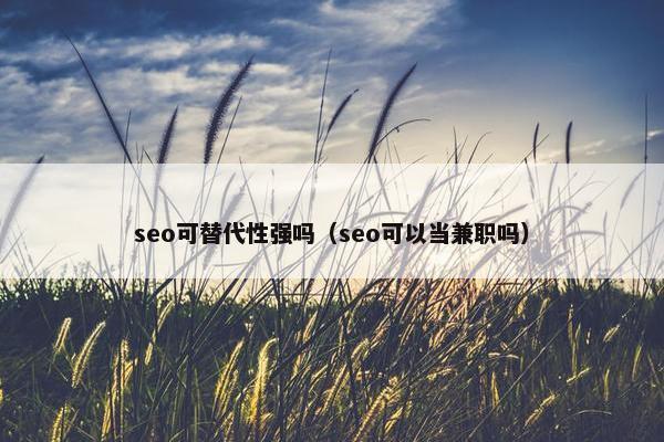 seo可替代性强吗（seo可以当兼职吗）