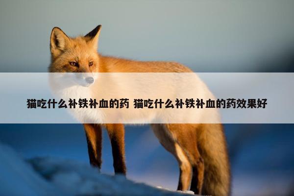 猫吃什么补铁补血的药 猫吃什么补铁补血的药效果好