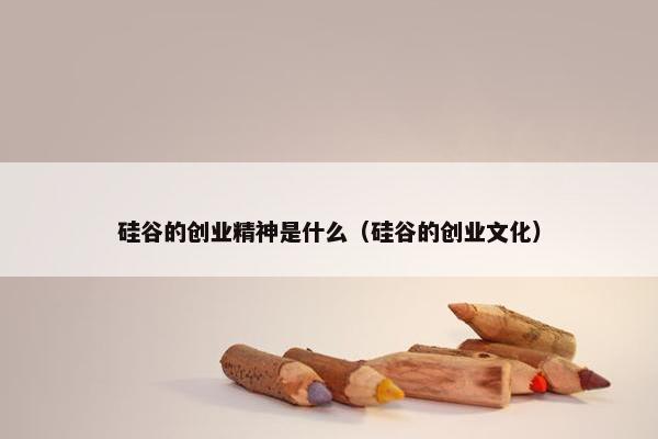 硅谷的创业精神是什么（硅谷的创业文化）