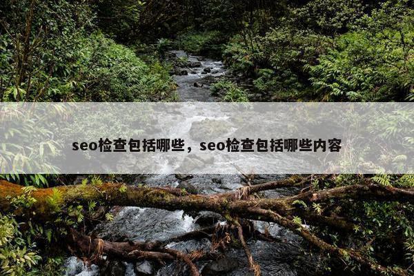 seo检查包括哪些，seo检查包括哪些内容