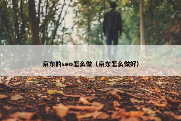 京东的seo怎么做（京东怎么做好）