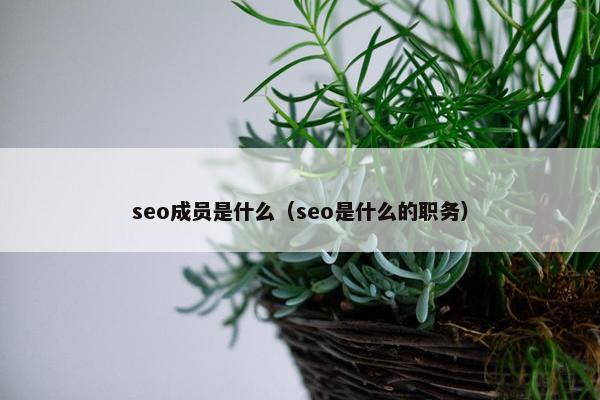 seo成员是什么（seo是什么的职务）