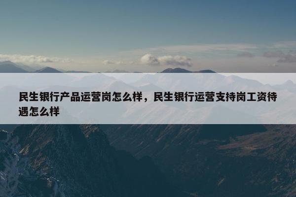 民生银行产品运营岗怎么样，民生银行运营支持岗工资待遇怎么样