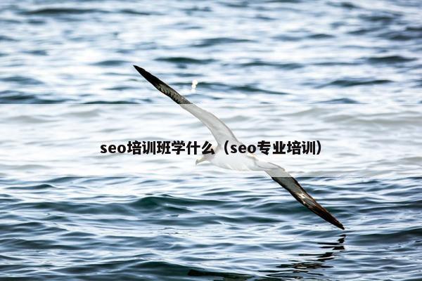 seo培训班学什么（seo专业培训）