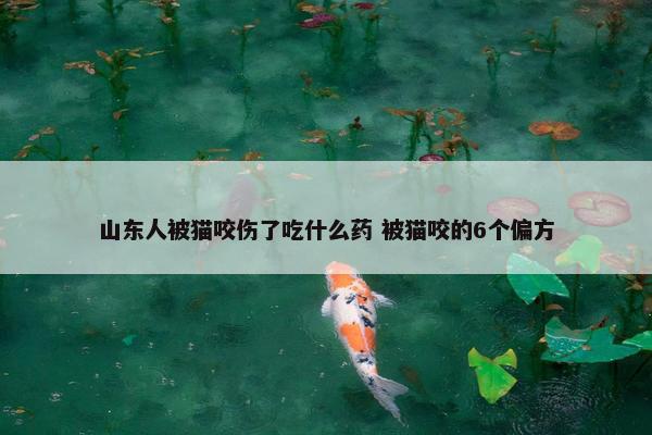 山东人被猫咬伤了吃什么药 被猫咬的6个偏方