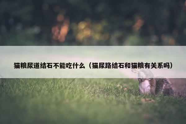 猫粮尿道结石不能吃什么（猫尿路结石和猫粮有关系吗）