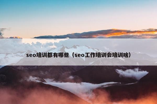 seo培训都有哪些（seo工作培训会培训啥）