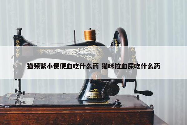 猫频繁小便便血吃什么药 猫咪拉血尿吃什么药