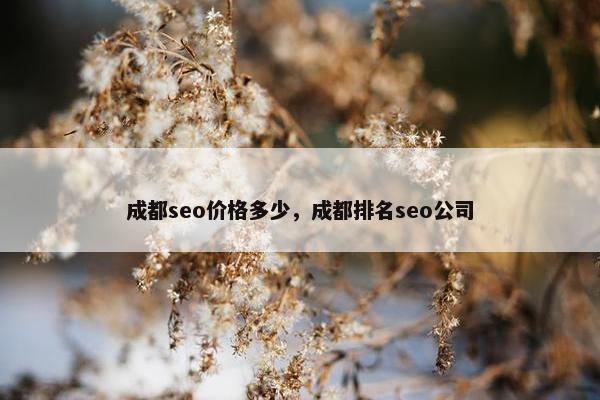 成都seo价格多少，成都排名seo公司